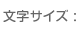 文字サイズ